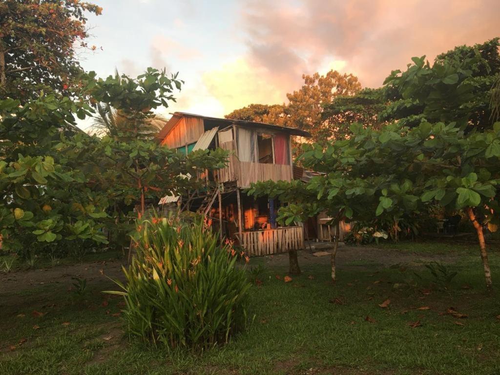 Miguel Surf Camp Hotel Quepos Buitenkant foto