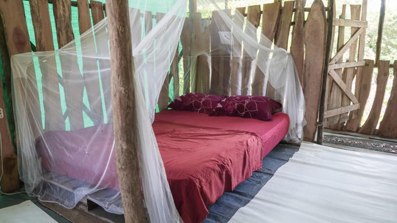 Miguel Surf Camp Hotel Quepos Buitenkant foto