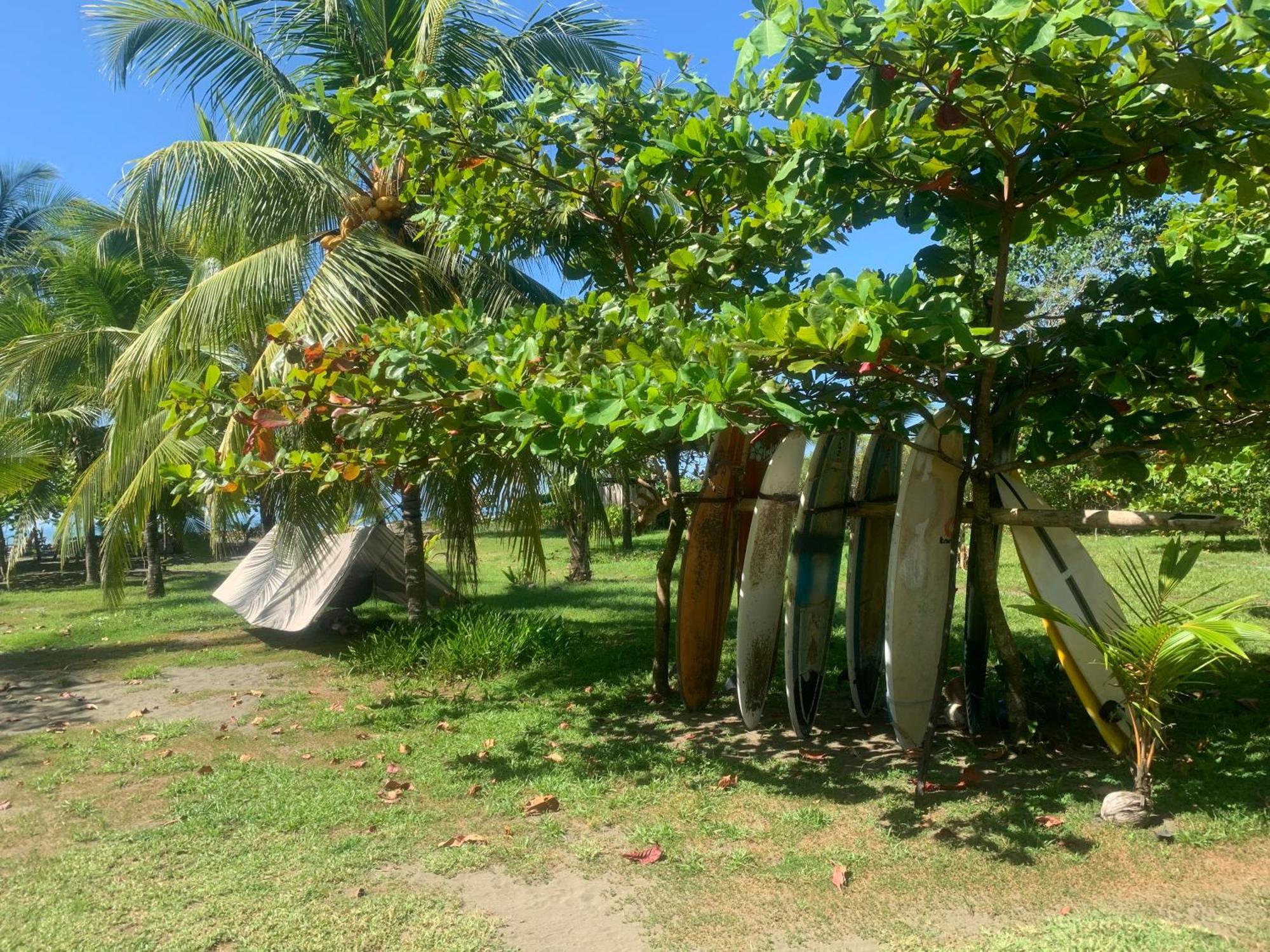 Miguel Surf Camp Hotel Quepos Buitenkant foto
