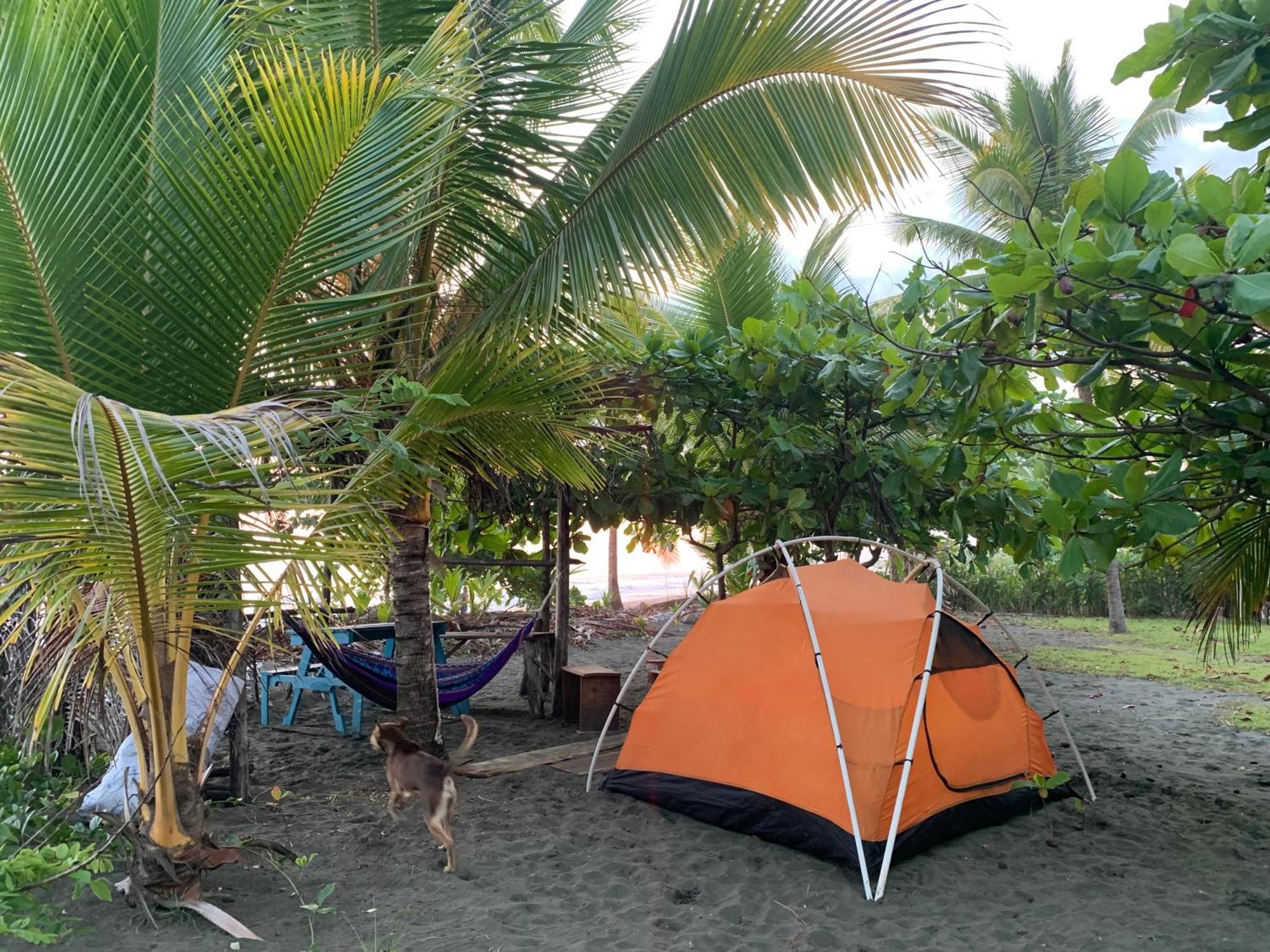Miguel Surf Camp Hotel Quepos Buitenkant foto