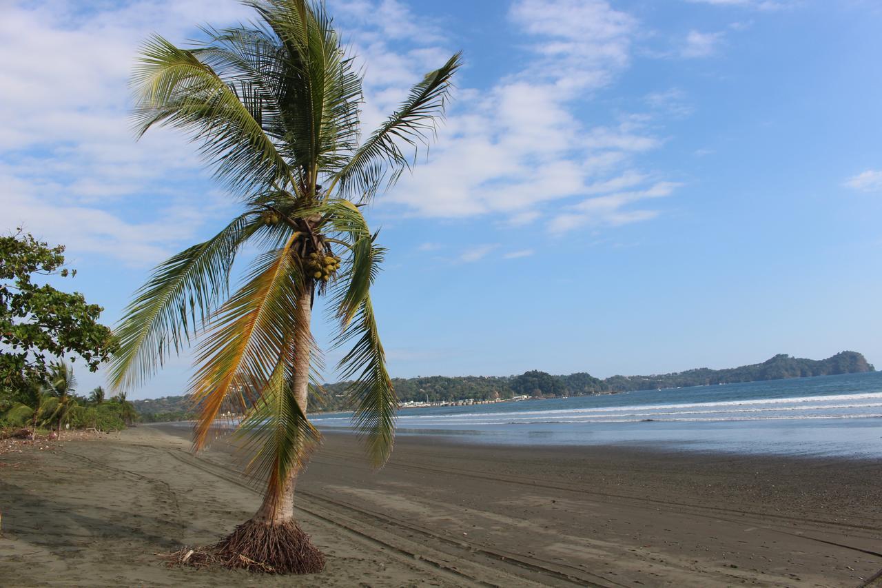 Miguel Surf Camp Hotel Quepos Buitenkant foto
