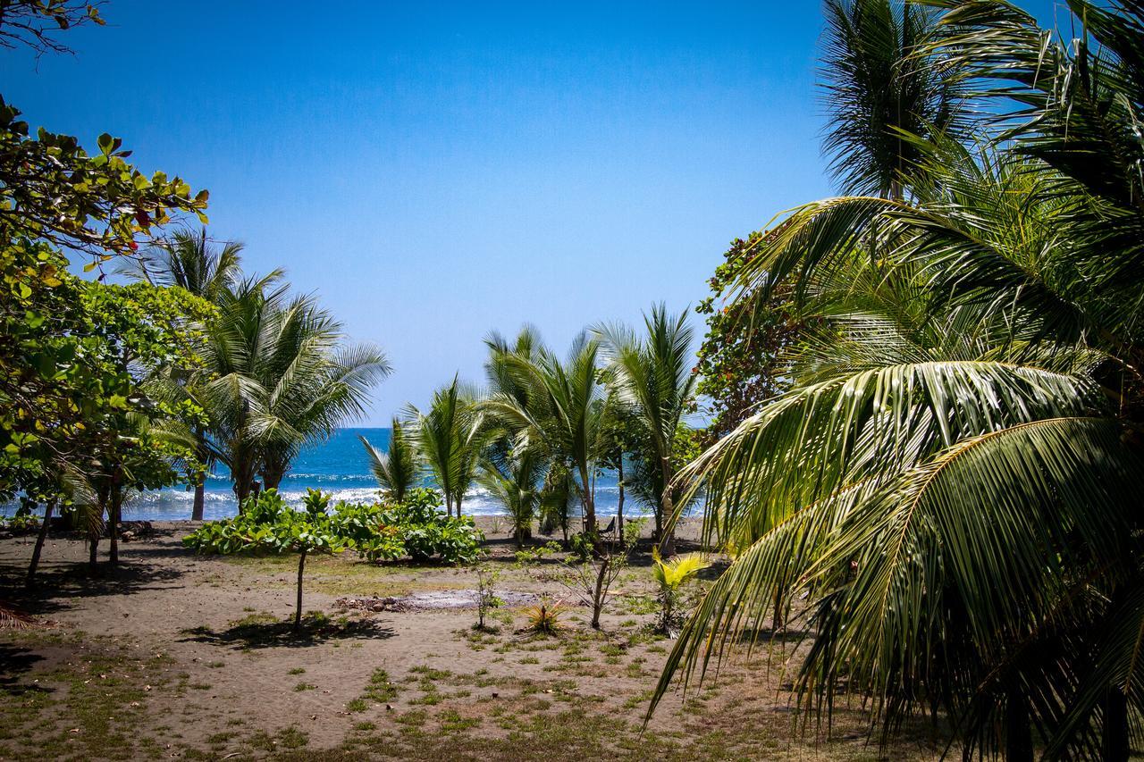 Miguel Surf Camp Hotel Quepos Buitenkant foto