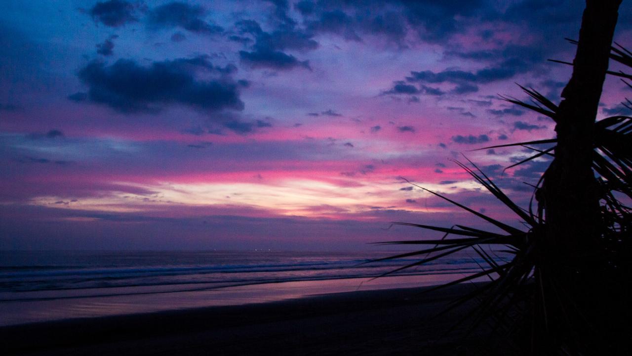 Miguel Surf Camp Hotel Quepos Buitenkant foto